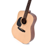 Ditson D-10L