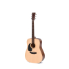 Ditson D-10L