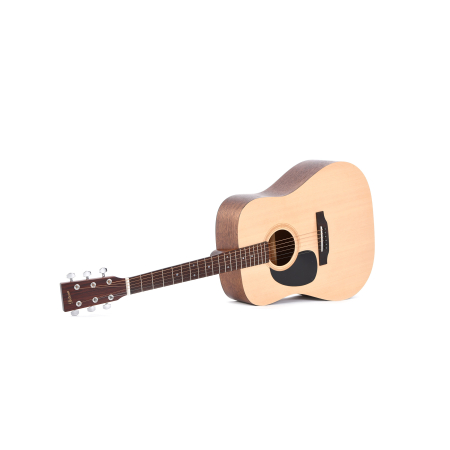 Ditson D-10L