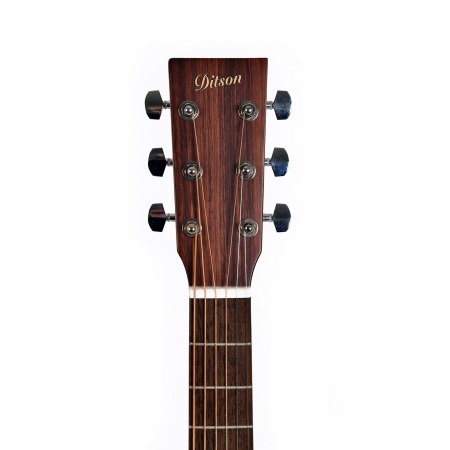 Ditson D-10L