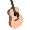 Ditson G-10