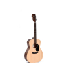 Ditson G-10