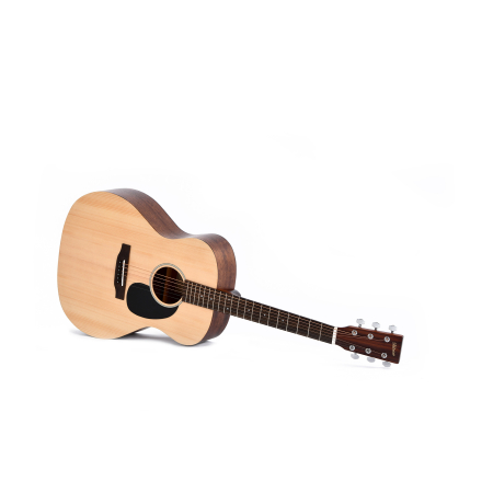 Ditson G-10