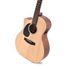 Ditson GC-10EL