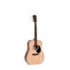 Ditson D-10