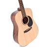 Ditson D-10
