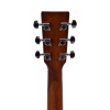 Ditson D-10