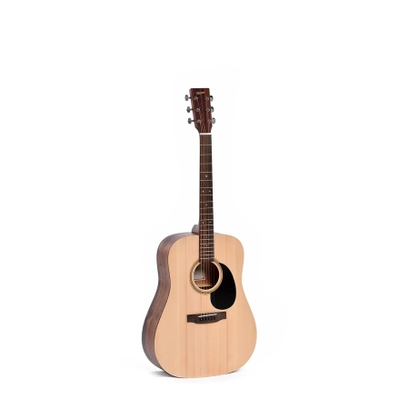 Ditson D-10