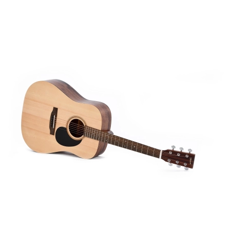 Ditson D-10