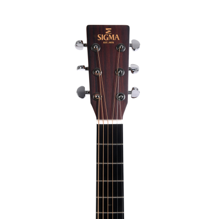 Sigma Guitars DM-15