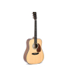Sigma Guitars DM-1