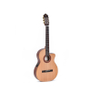 Sigma Guitars CTMC-2E