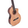 Sigma Guitars CTMC-2E