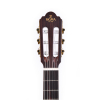Sigma Guitars CTMC-2E