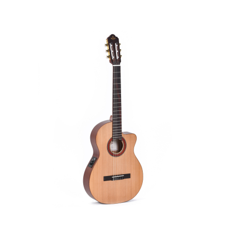 Sigma Guitars CTMC-2E