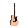 Sigma Guitars GTCE