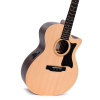 Sigma Guitars GTCE