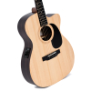 Sigma Guitars 000TCE