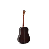 Sigma Guitars SDR-41SP