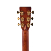 Sigma Guitars SDR-41SP