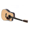Sigma Guitars DTC-41E