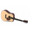 Sigma Guitars DM-18