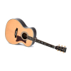 Sigma Guitars SGR-41