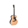 Sigma Guitars SGR-41