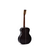 Sigma Guitars SGR-41