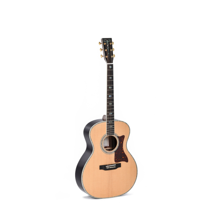 Sigma Guitars SGR-41